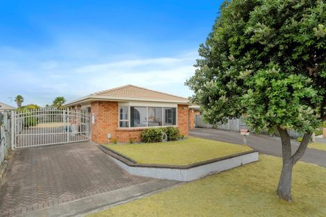 Photo of property in 19 Fahey Avenue, Mount Maunganui, 3116