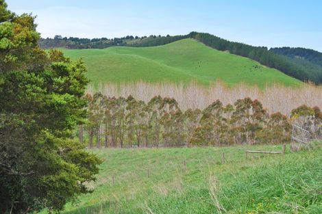 Photo of property in 542e Oneriri Road, Kaiwaka, 0573