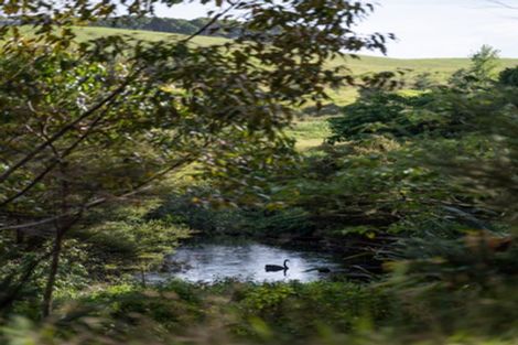 Photo of property in 70 Pukeko Lane, Kerikeri, 0294