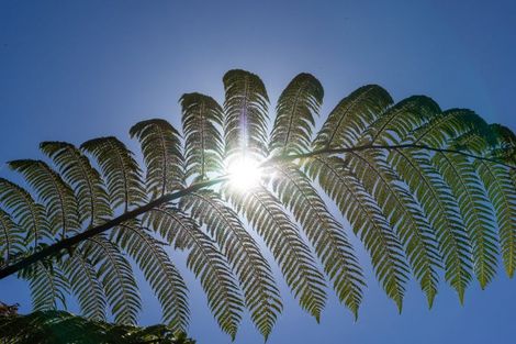 Photo of property in 252b Grange Road, Otumoetai, Tauranga, 3110