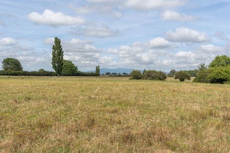 Photo of property in 12 Caesar Roose Drive, Glenview, Hamilton, 3206