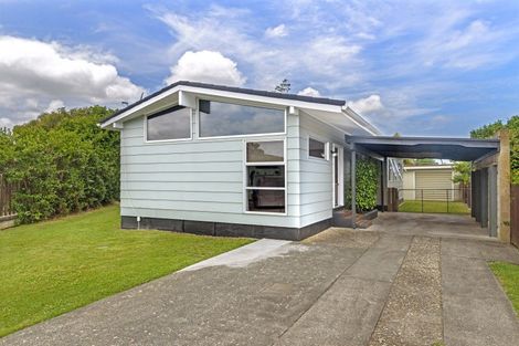 Photo of property in 14 Chichester Street, Te Hapara, Gisborne, 4010
