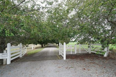 Photo of property in 1661 North Eyre Road, West Eyreton, Rangiora, 7475