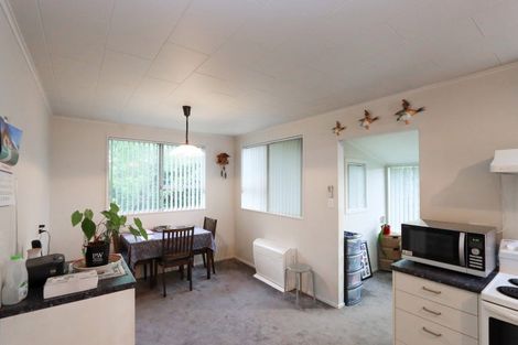 Photo of property in 3 Highfield Street, Waiau, 7332