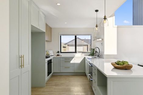 Photo of property in 81 Cedarwood Street, Woodridge, Wellington, 6037