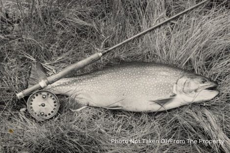 Photo of property in 11 Kokopu Street, Turangi, 3334