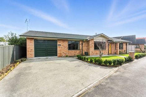 Photo of property in 9c York Street, Gonville, Whanganui, 4501