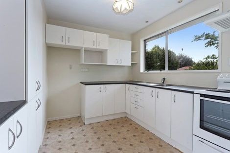 Photo of property in 152 Buchanans Road, Hei Hei, Christchurch, 8042