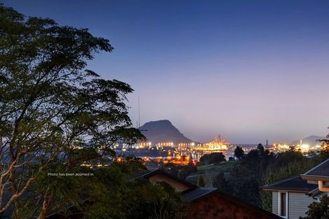 Photo of property in 16 Riddington Rise, Ohauiti, Tauranga, 3112