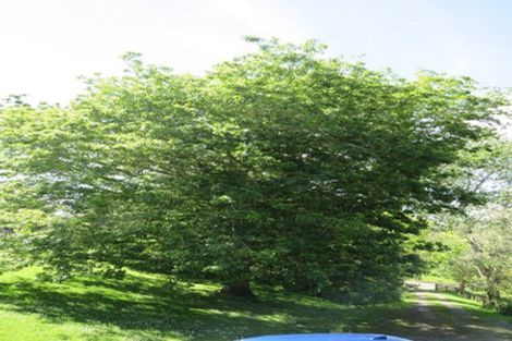 Photo of property in 1232 Bull Road, Paparoa, 0571