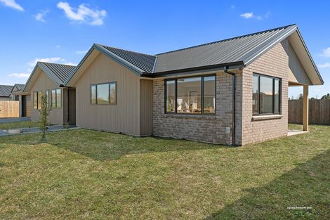 Photo of property in 100 Overdale Street, Putaruru, 3483