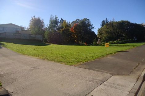 Photo of property in 71a Arapuni Street, Putaruru, 3411