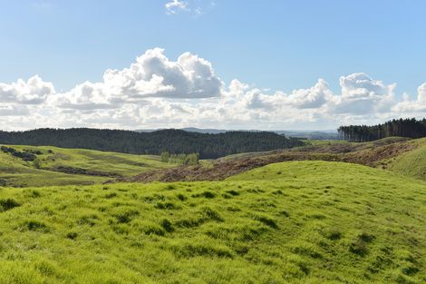 Photo of property in 495 Glenmohr Road, Waipu, 0582