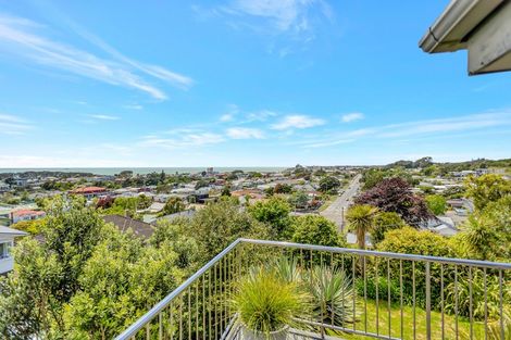 Photo of property in 155 Vivian Street, New Plymouth, 4310