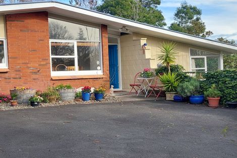 Photo of property in 27 Glen Terrace, Te Puke, 3119