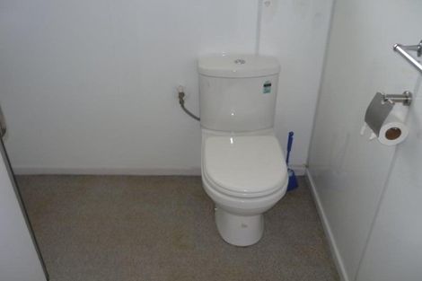 Photo of property in 23 Grace Crescent, Tokoroa, 3420