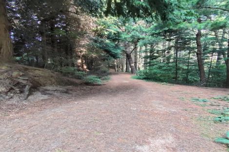 Photo of property in 565 Birch Road East, Herbertville, Dannevirke, 4970