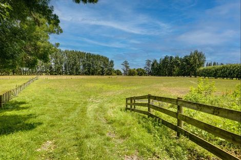 Photo of property in 59 York Road, Longlands, Hastings, 4120