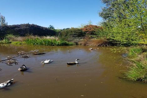 Photo of property in 127 Hodgsons Road, Loburn, Rangiora, 7472