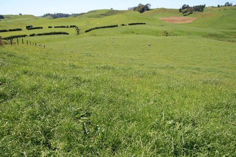 Photo of property in 1234 Richmond Road, Everett Park, Inglewood, 4389