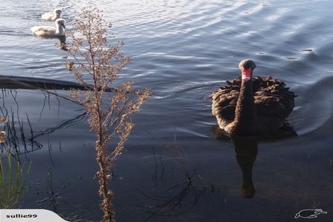 Photo of property in 5/548 Williams Street, Kaiapoi, 7691