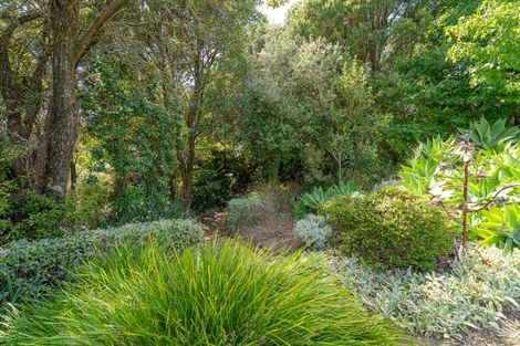 Photo of property in 49 Sarahs Hill, Hahei, Whitianga, 3591