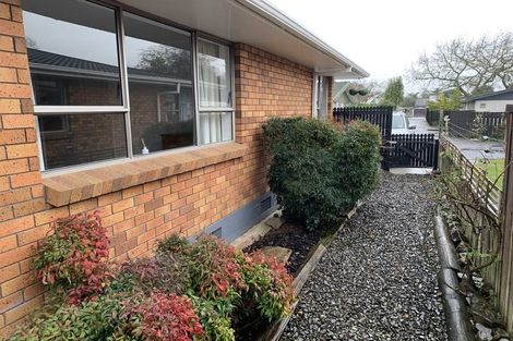 Photo of property in 146 Albert Street, Hamilton East, Hamilton, 3216