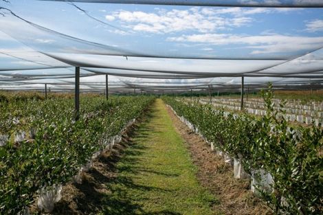 Photo of property in 1/3200 Cambridge Road, Rotoorangi, Cambridge, 3495