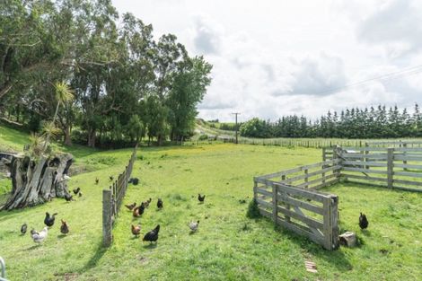 Photo of property in 187 Cemetery Road, Sanson, Palmerston North, 4479