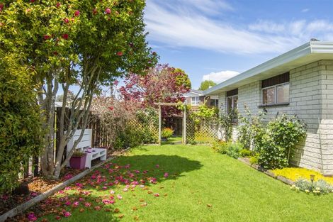 Photo of property in 45 Shelley Street, Otumoetai, Tauranga, 3110
