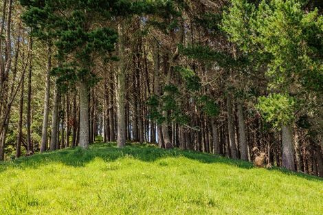 Photo of property in 52 Tuiglen Place, Glenbervie, Whangarei, 0173