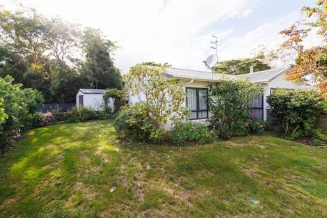 Photo of property in 101 Lincoln Street, Ashhurst, 4810