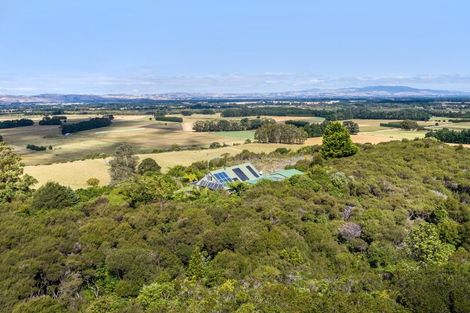 Photo of property in 294 Waiohine Gorge Road, Dalefield, Carterton, 5791