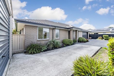 Photo of property in 11b Greenan Place, Doyleston, 7683