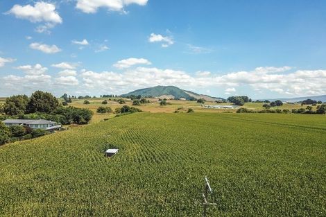 Photo of property in 404 Te Mawhai Road, Tokanui, Te Awamutu, 3875