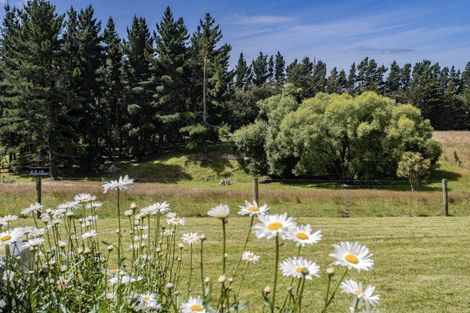 Photo of property in 46 Forestry Road, Ashley, Rangiora, 7477