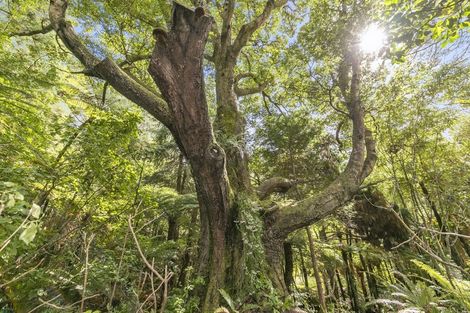 Photo of property in 530 Stokes Valley Road, Stokes Valley, Lower Hutt, 5019