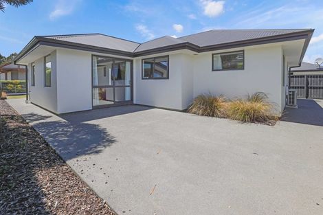 Photo of property in 2a Grove Street, Tinwald, Ashburton, 7700