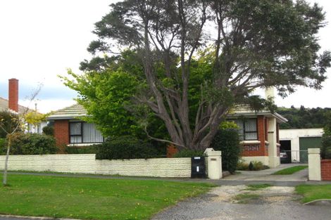 Photo of property in 102 Main Road, Fairfield, Dunedin, 9018