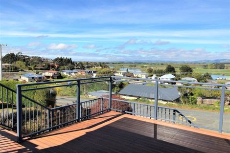 Photo of property in 49 Lowestoft Street, Balclutha, 9230
