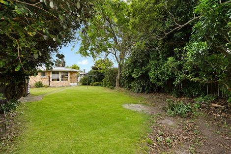 Photo of property in 56 Tranmere Road, Fairfield, Hamilton, 3214