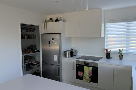 Photo of property in 65 Zabeel Street, Lincoln, 7608