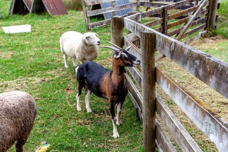 Photo of property in 60 Te Ana Lane, Thames, 3577