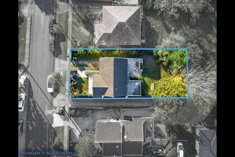 Photo of property in 12 Arahoe Road, New Lynn, Auckland, 0600