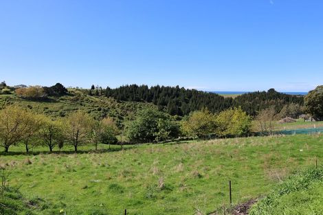 Photo of property in 38a Lark Street, Oamaru, 9400