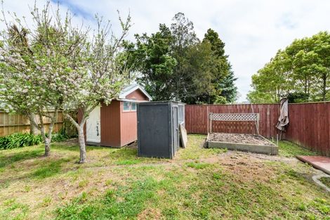 Photo of property in 49 Rennie Avenue, Milson, Palmerston North, 4414