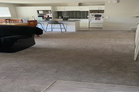 Photo of property in 21 Latimer Way, Petone, Lower Hutt, 5012