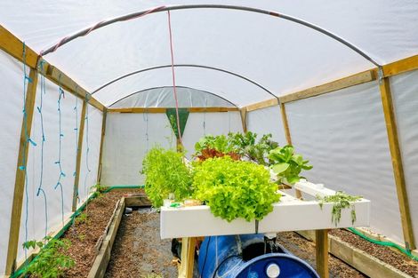 Photo of property in 96 Macdonald Road, Te Teko, Whakatane, 3192