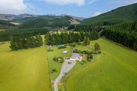 Photo of property in 211b Laidmore Road, Broomfield, 7482