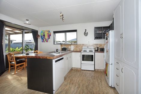 Photo of property in 100 Lethbridge Street, Feilding, 4702